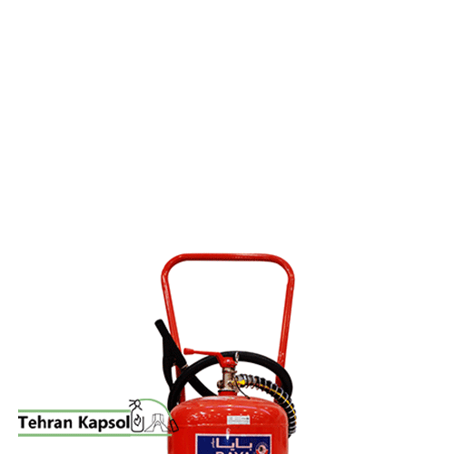 کپسول آتش نشانی پودر و گاز 25 کیلویی بایا